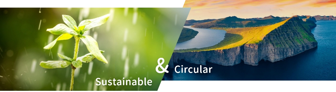 Eco-packaging Eco-packaging