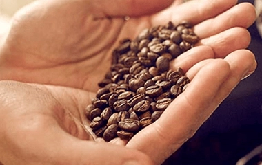 LÜ® Biodegradable LÜ® Biodegradable